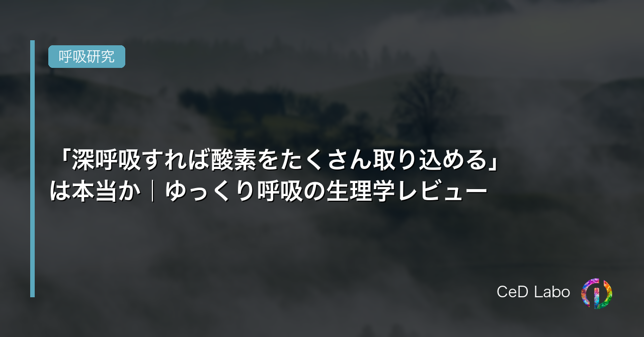「深呼吸すれば酸素をたくさん取り込める」は本当か｜ゆっくり呼吸の生理学レビュー
