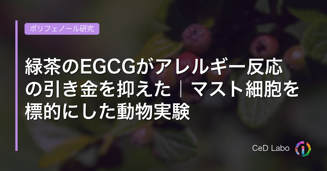 緑茶のEGCGがアレルギー反応の引き金を抑えた｜マスト細胞を標的にした動物実験