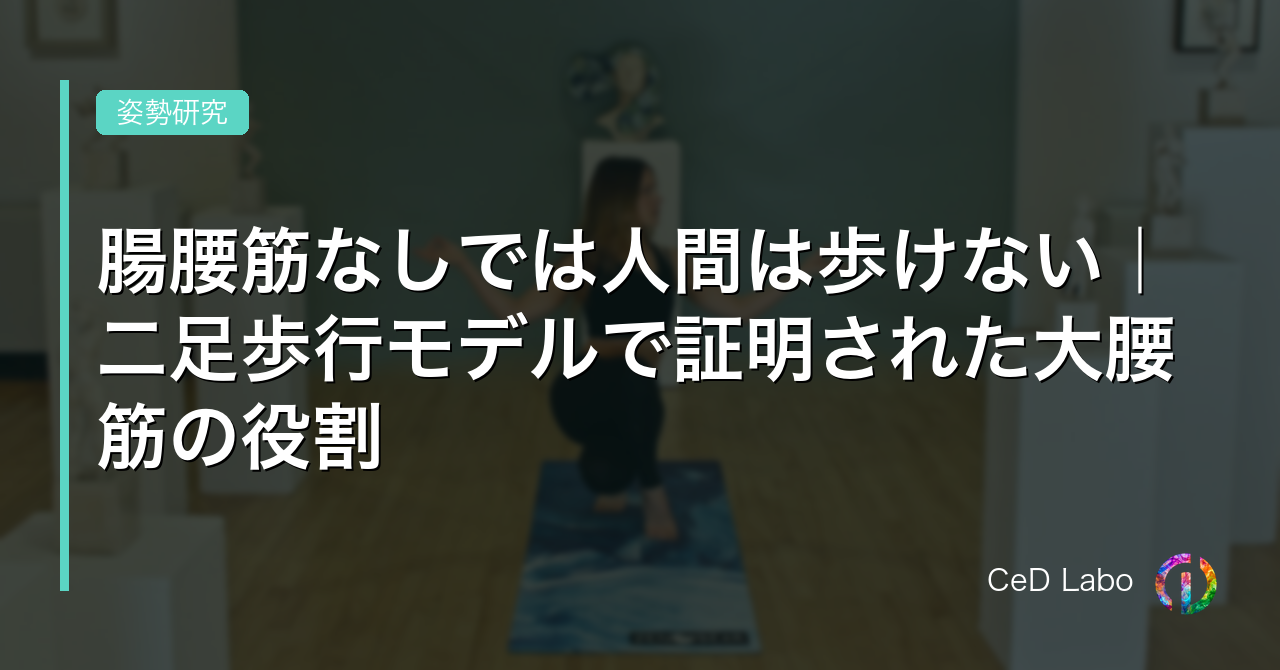 腸腰筋なしでは人間は歩けない｜二足歩行モデルで証明された大腰筋の役割